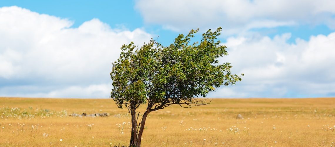 How Heat Waves Take a Toll on Mental Health