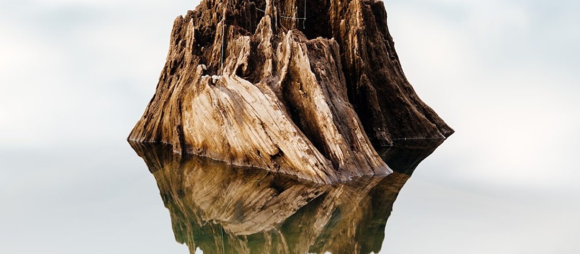 Hurricane Harvey Hit 5 Years Ago. Its Floodwaters Did Not Strike Equitably.