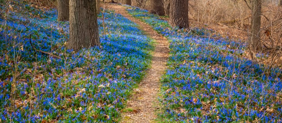 Upcycling and sustainability fuel these two fashion designers