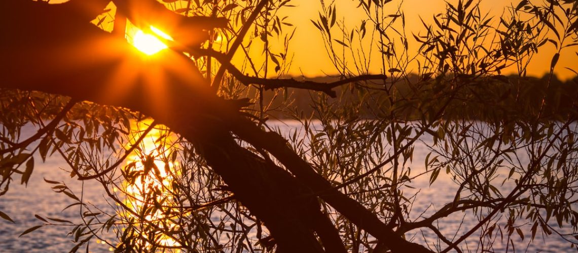 Get Ready for Financial Shocks from Climate Change, Biden Tells Officials