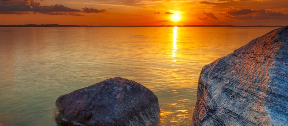 ‘Radical Care’ for the Beings Around Us