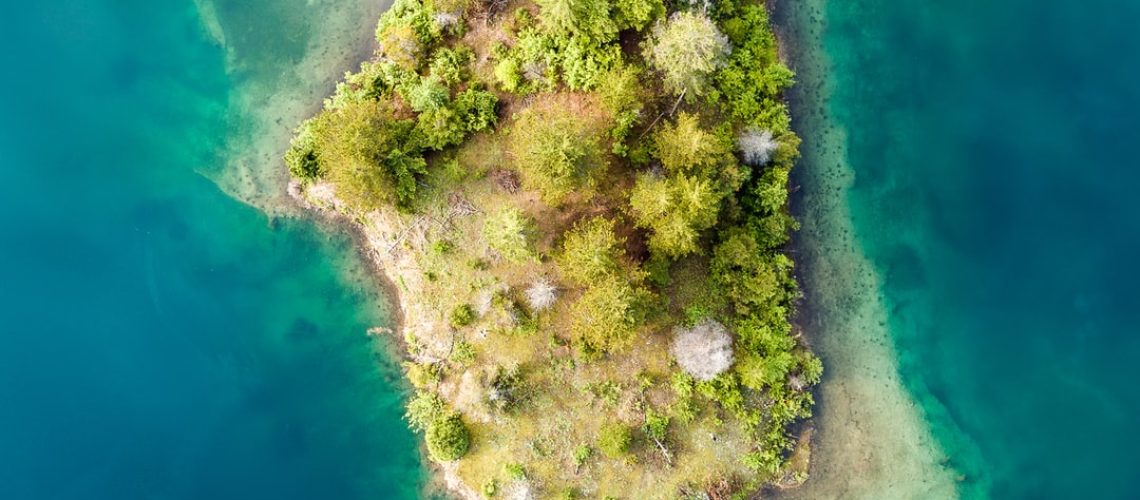 Can Inflation Reduction Save the Planet?