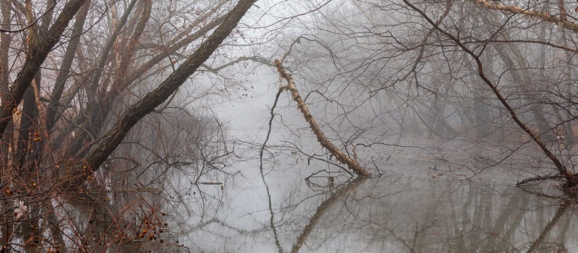 Climate Change Is Too Hot Not to Handle