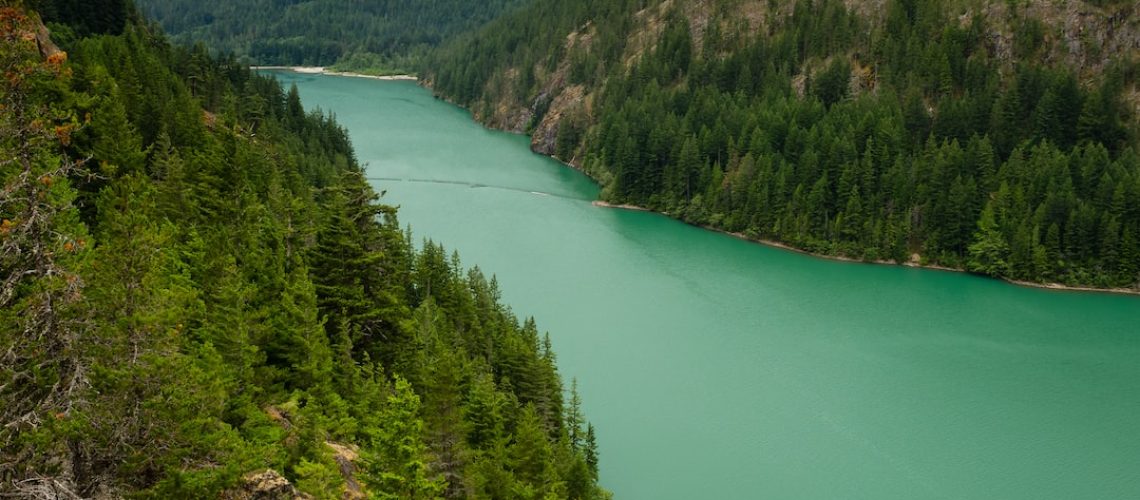 Can We Put a Price Tag on Nature?