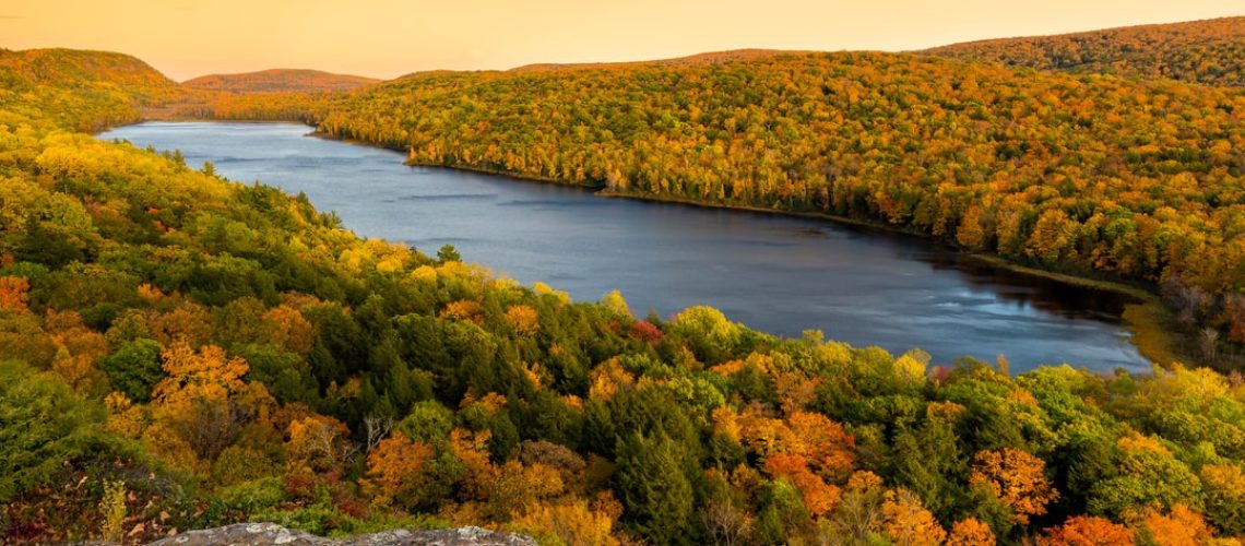 A little library provides a space for mental health