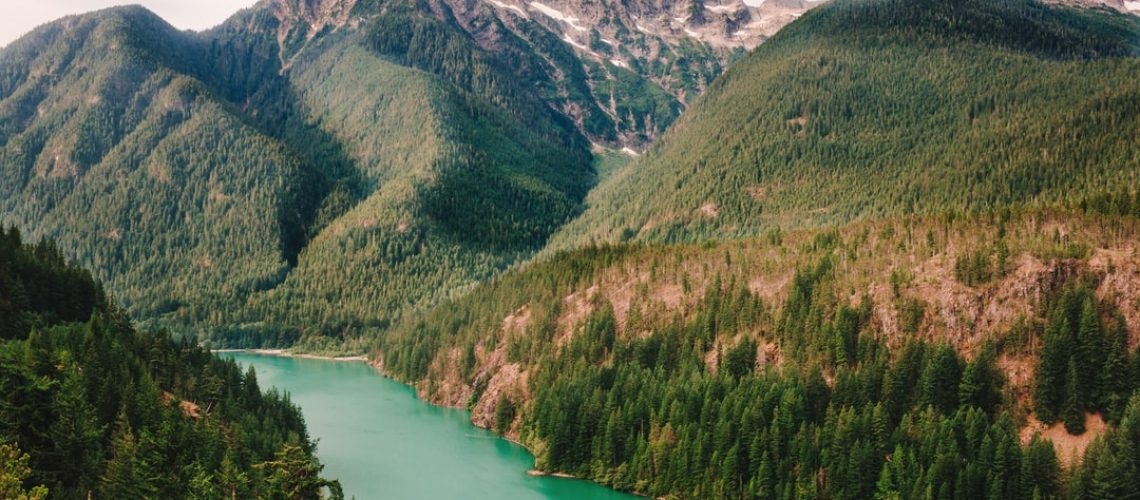 Solar tiny home C2X by Nestron comes with smart systems