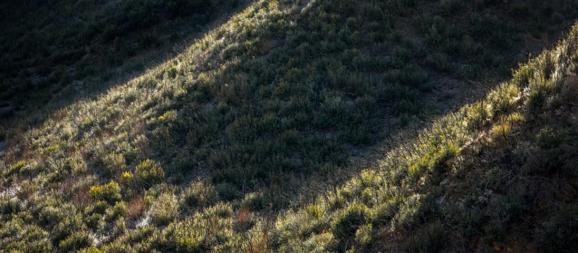 Why an Easy Energy Fix Is Being Delayed Why an Easy Energy Fix Is Being Delayed