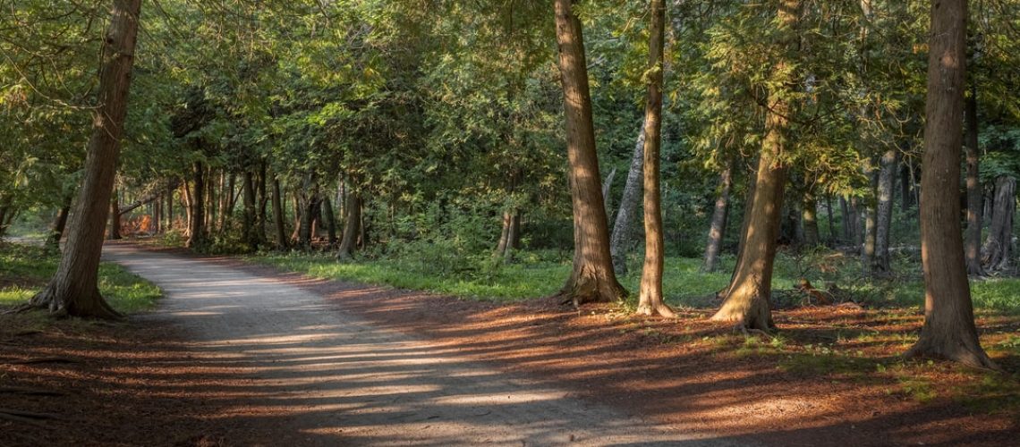 How Can Older Adults Stay Safe During a Heat Wave?