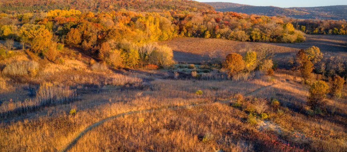 Mexico’s Drought: Country Faces a Water Emergency