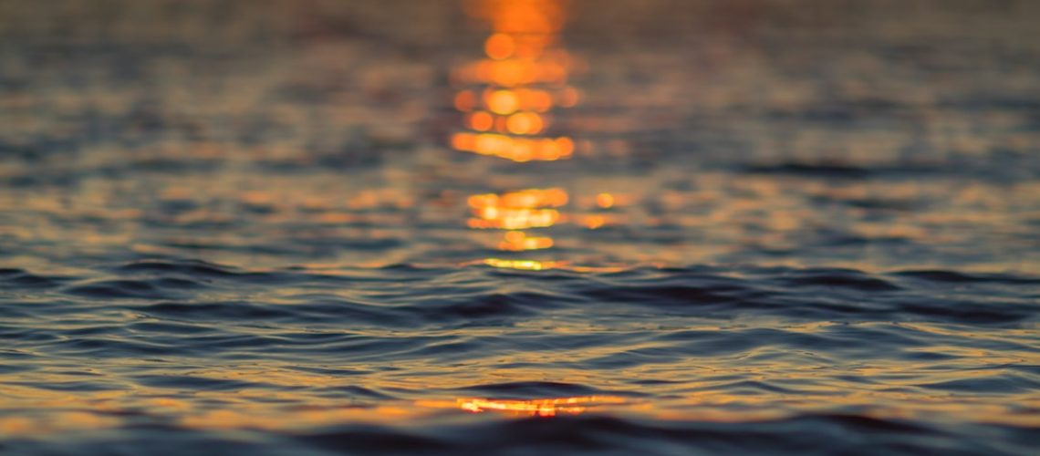 The Texas Public Policy Foundation’s National Crusade Against Climate Action