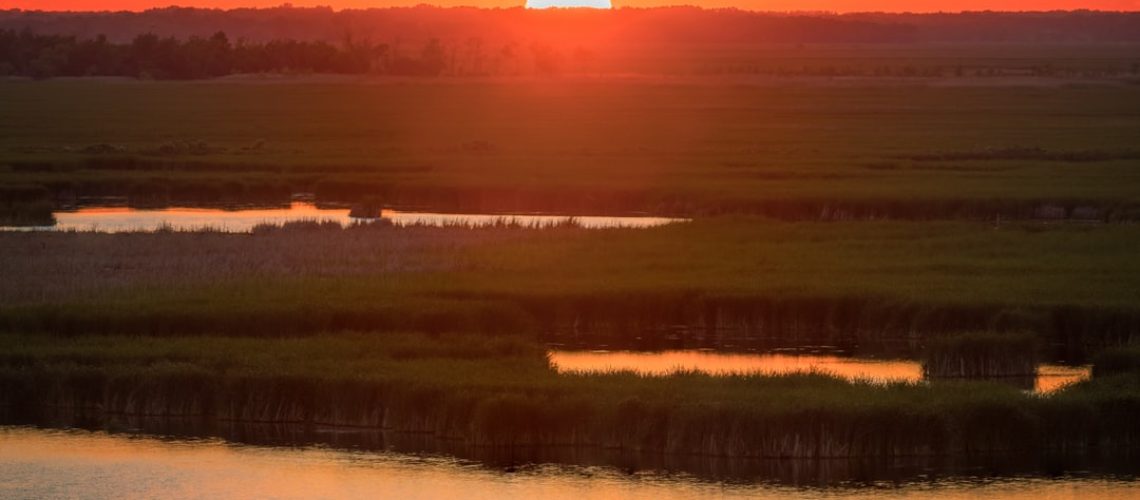 Giant Floods Destroy and Renew Environments