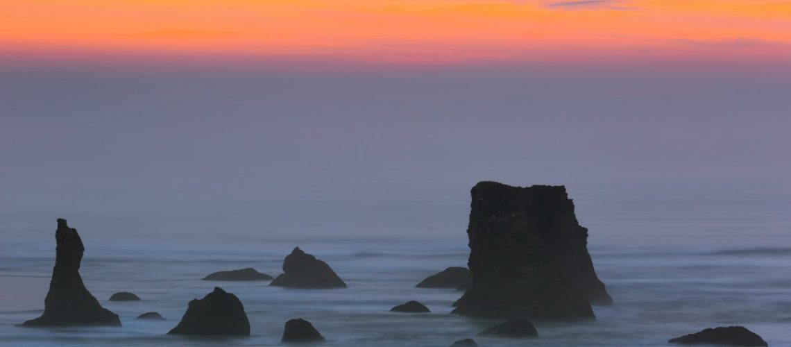 Las empresas de alimentos vegetales enfrentan críticas de los ambientalistas