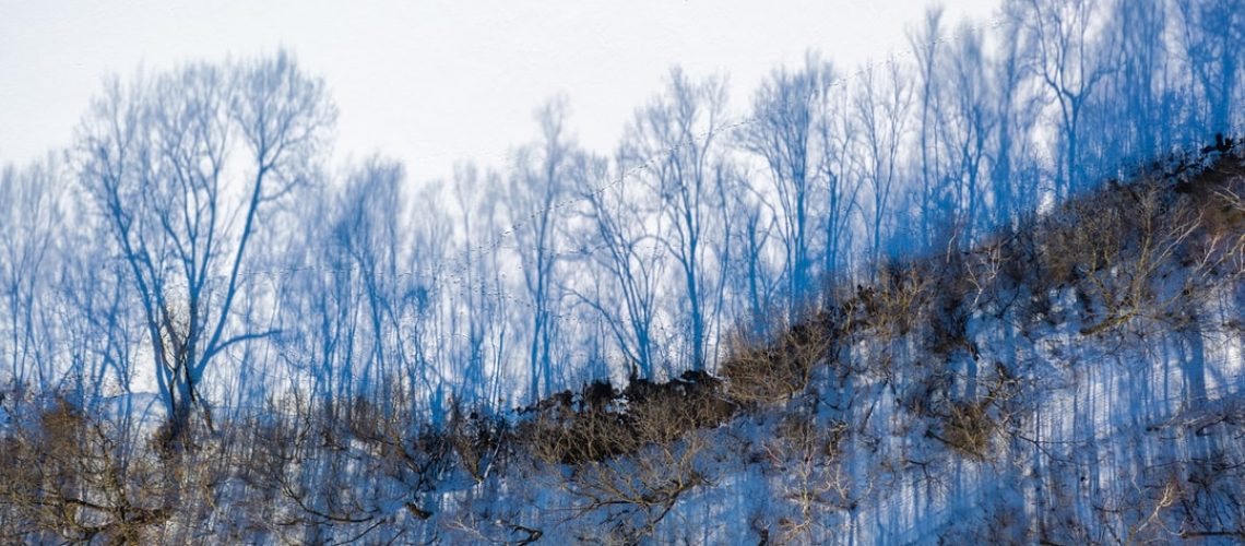 ‘No More Blah, Blah,’ Thunberg Chants with Protesters at COP26