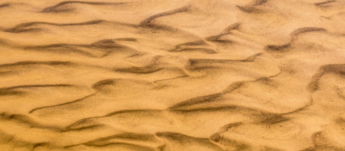 Jane Goodall’s Hopeful Survival Guide for Humans