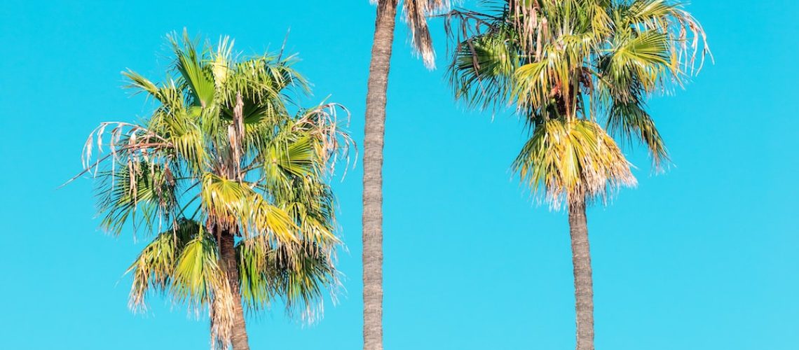 The Climate Impact of Your Neighborhood, Mapped