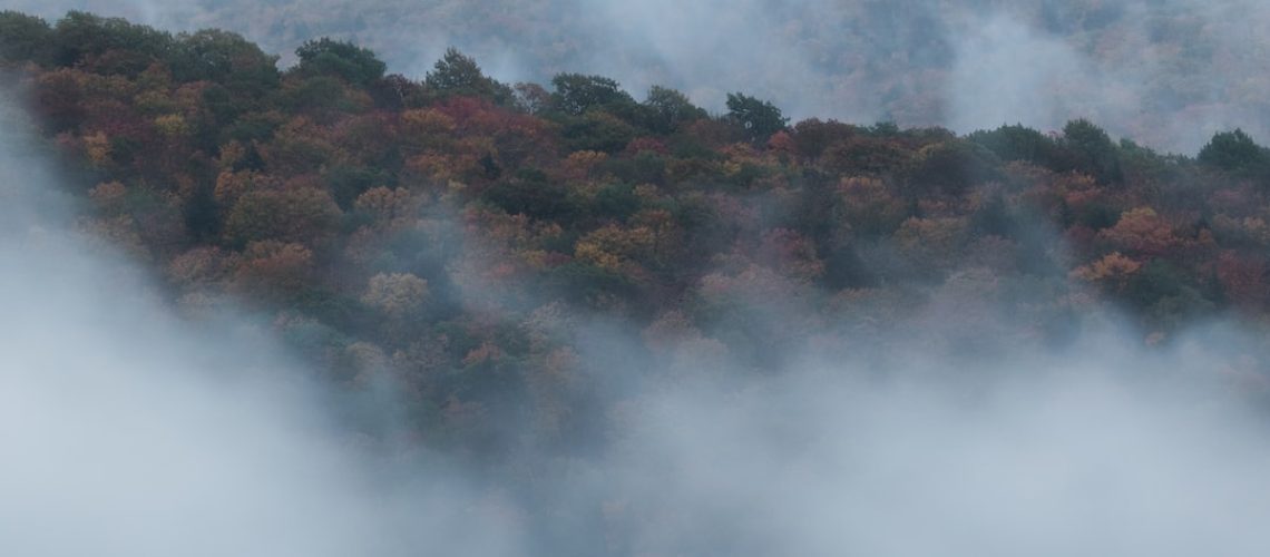 What Happens When a Cascade of Crises Collide?