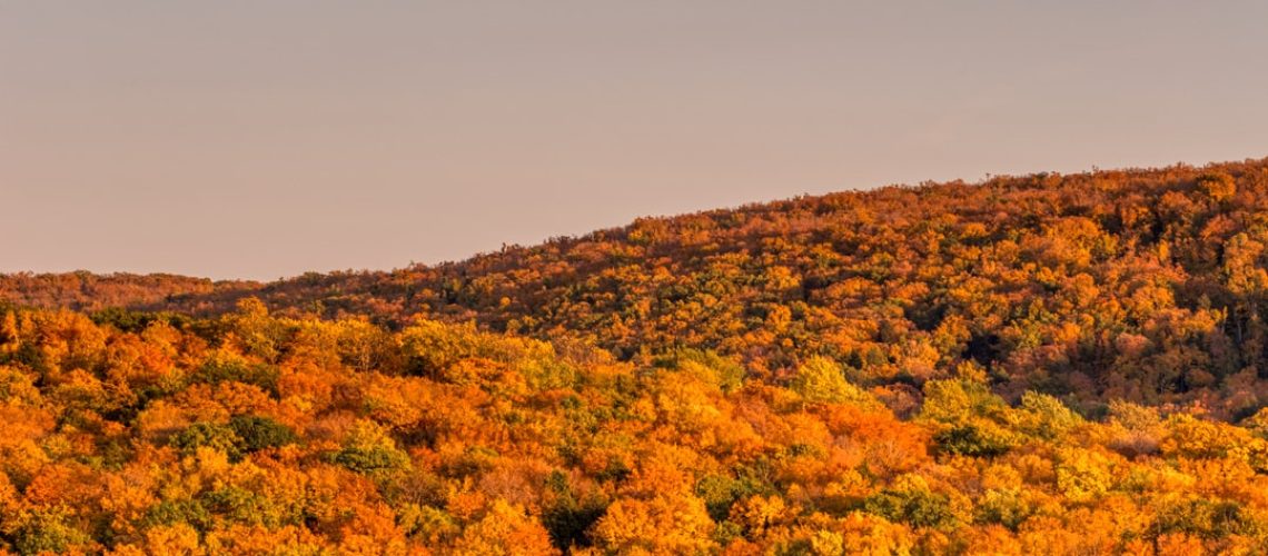 What now after Supreme Court EPA case ruling?