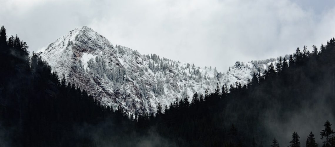 Climate Queries, Asked and Answered