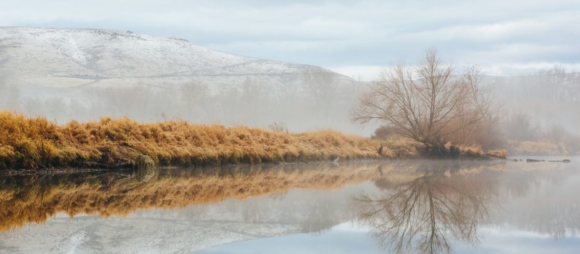 Ukraine War and U.S. Politics Complicate Climate Change Fight