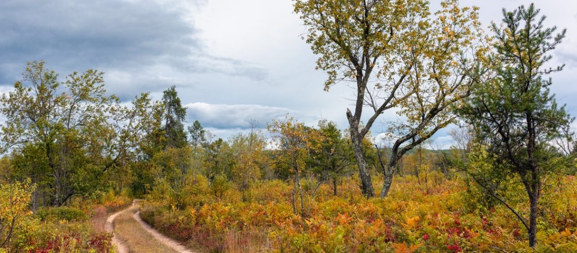 60% of Americans blame fossil fuel companies for climate change