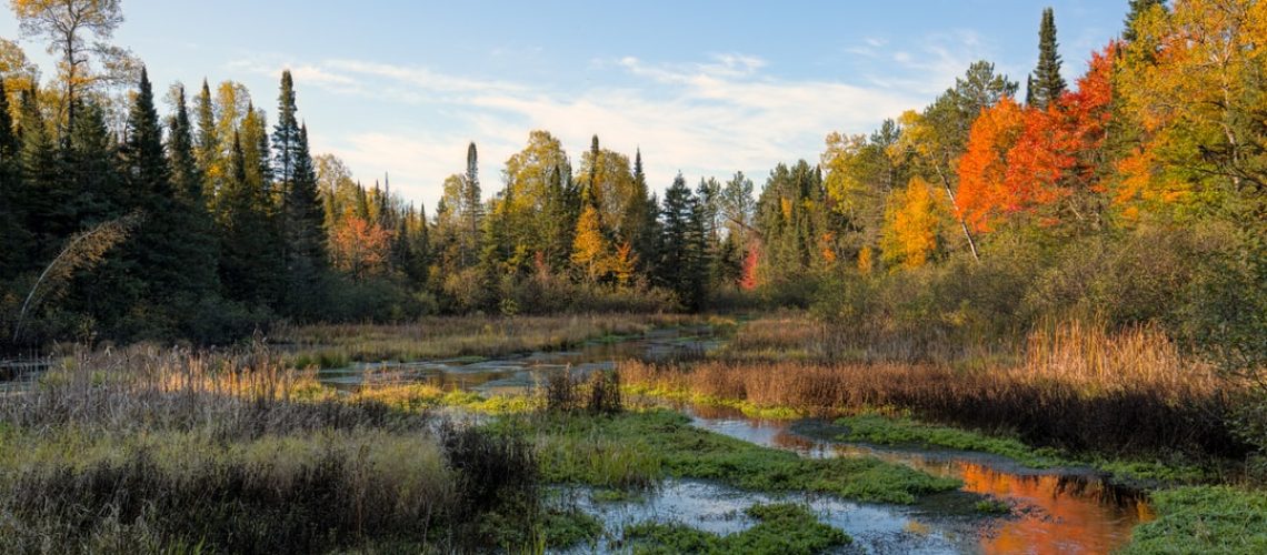 Sensgreen air quality sensor saves energy and is adaptable