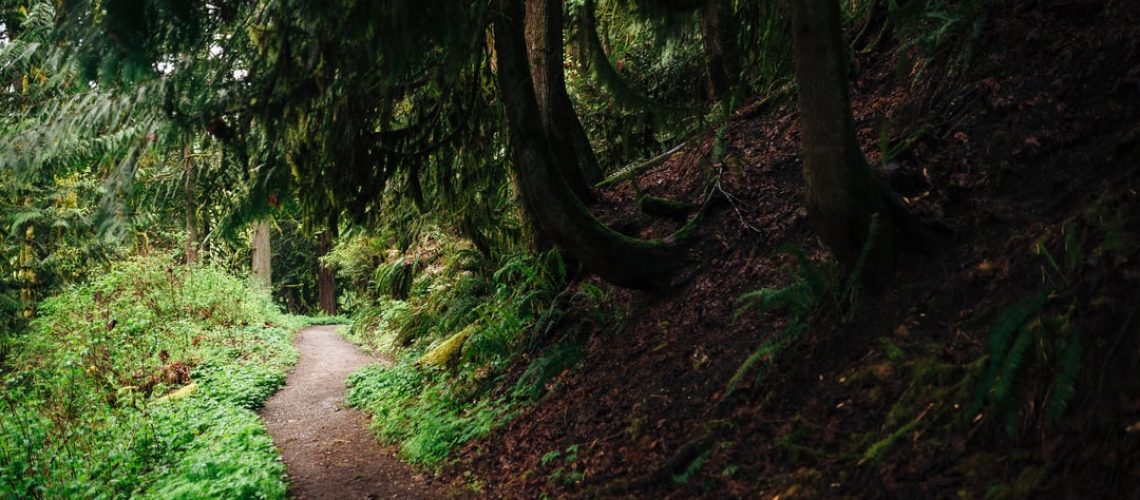 Monster snowstorm hits California highway, disrupting travel