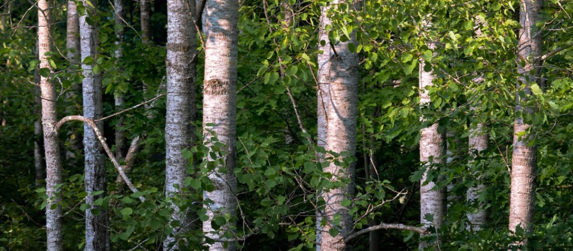 8 things you probably didn’t know can be composted 8 things you probably didn't know can be composted