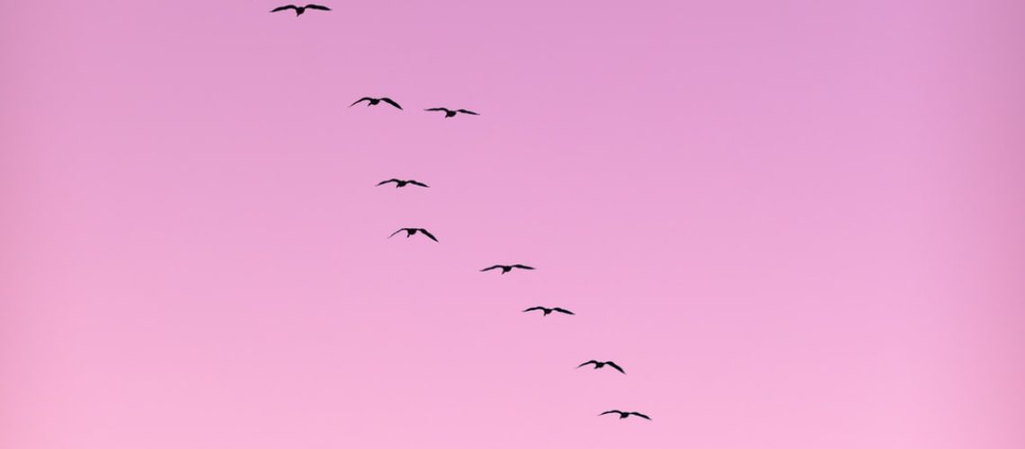 Drought Makes its Home on the Range