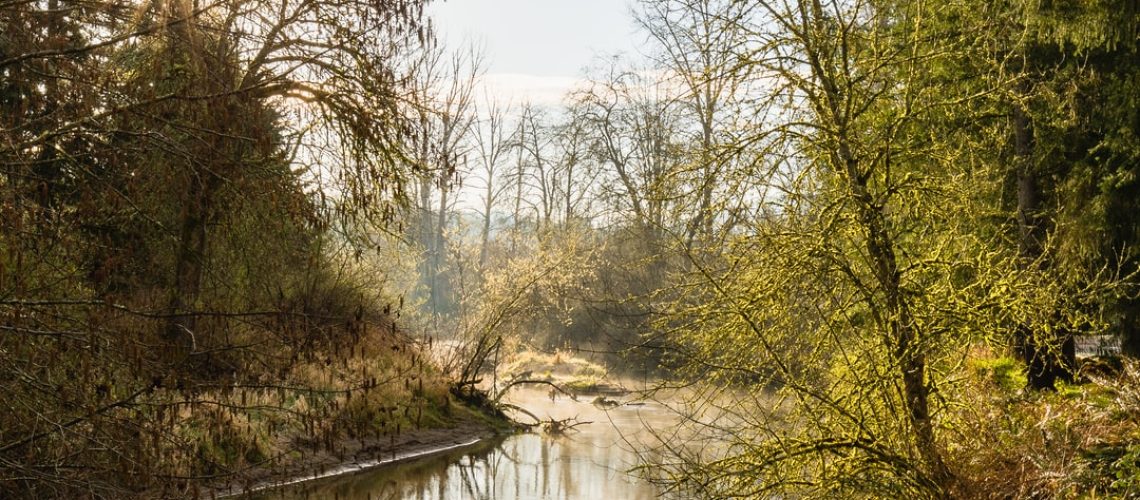 Fireworks banned due to heat in parts of western US