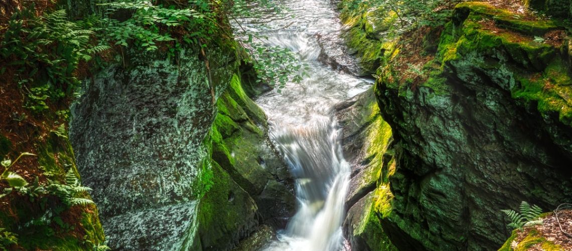 Architect chosen to design sustainable 2026 Olympic Village