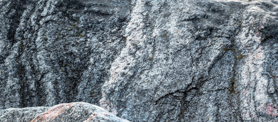 How Does Carbon Capture Work?