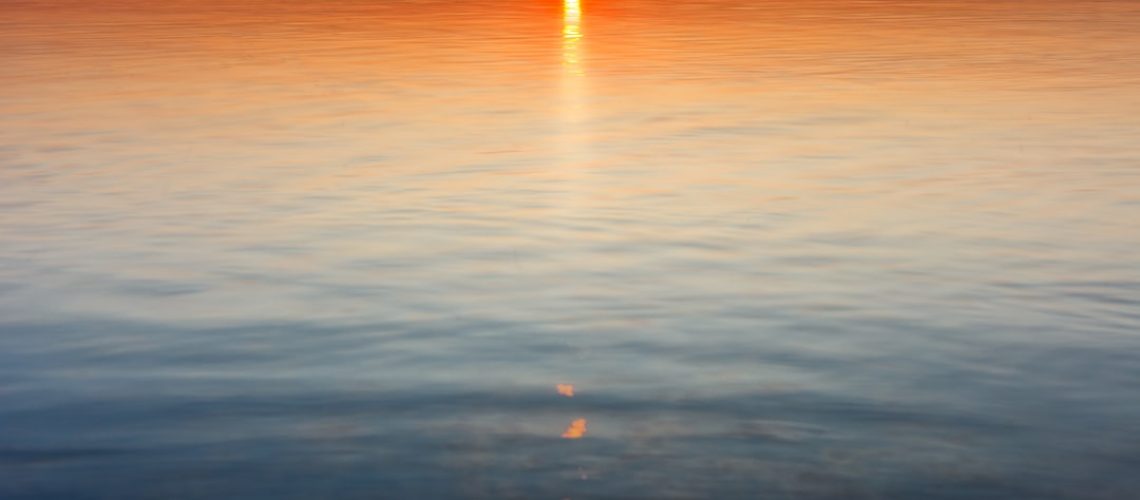 Toronto Zoo's expansion envisions the zoo of the future