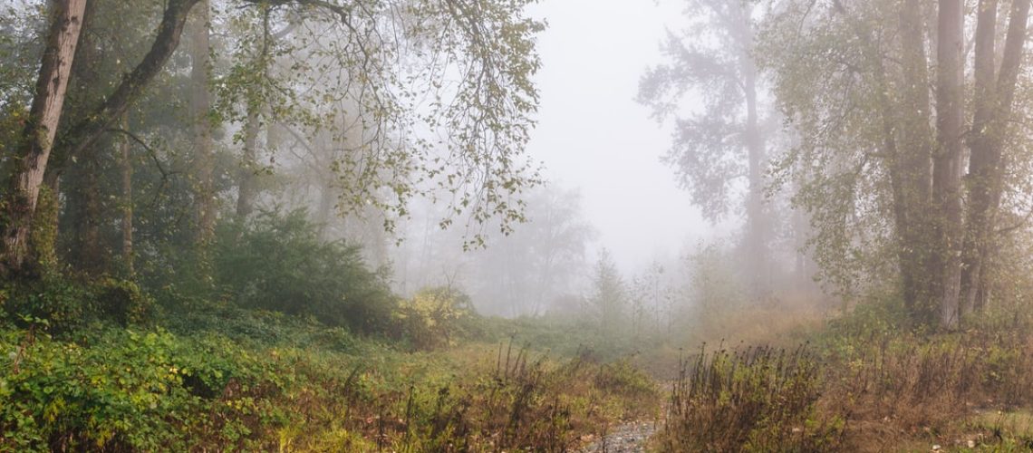 E.P.A. Approved Toxic Chemicals for Fracking a Decade Ago, New Files Show