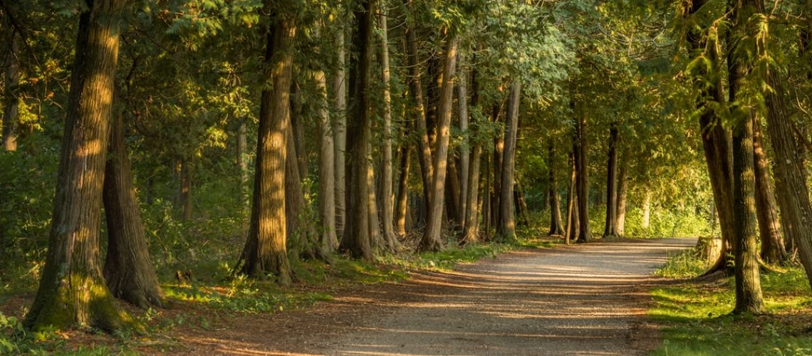 Helping to Reveal a Still-Shuttered World