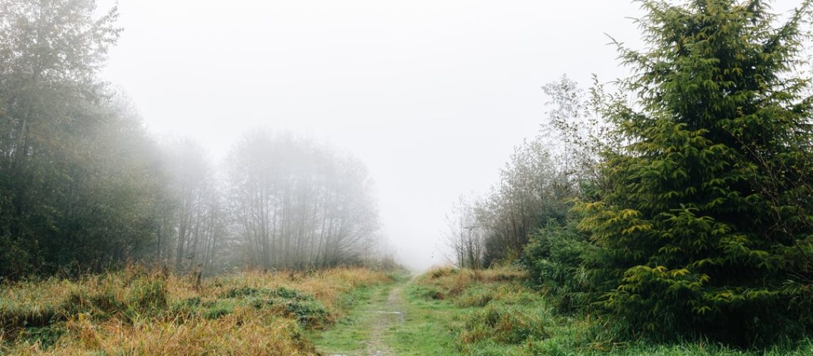 Clean beauty brands that are wonderful for you and Earth