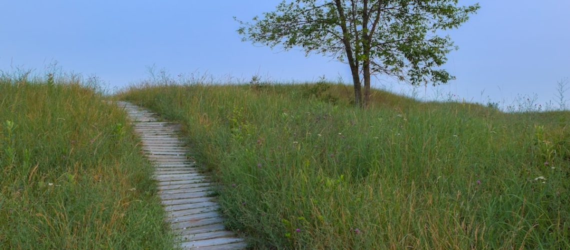 Will Storms End California’s Drought? That May Be the Wrong Question