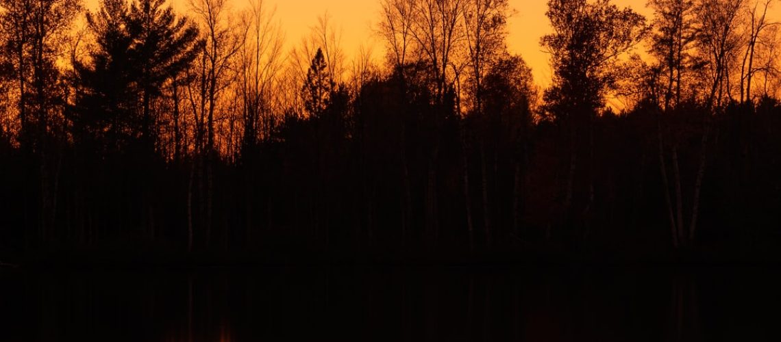 Plastic pollution is highlighted in unique art installation