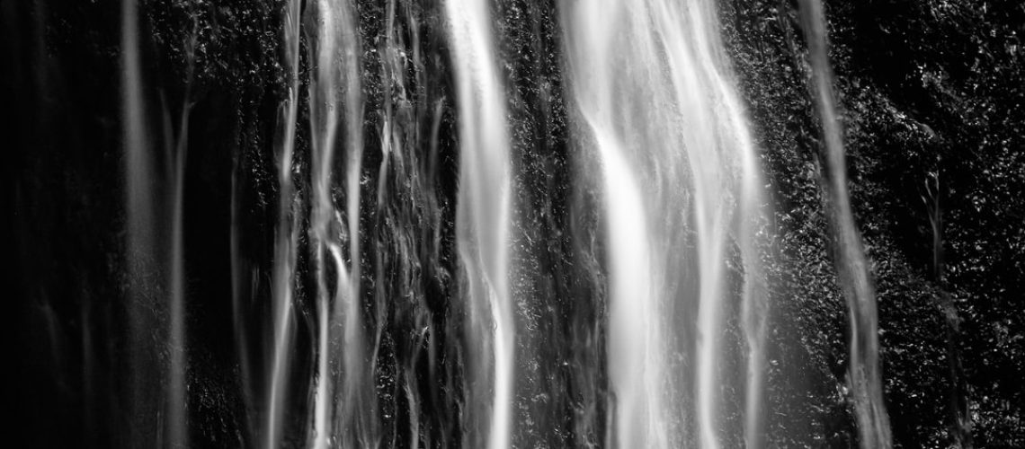 A green design makes this home a sustainable masterpiece