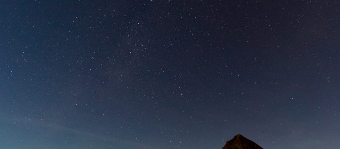 Brazilian Pavilion at The World Expo transports visitors into nature