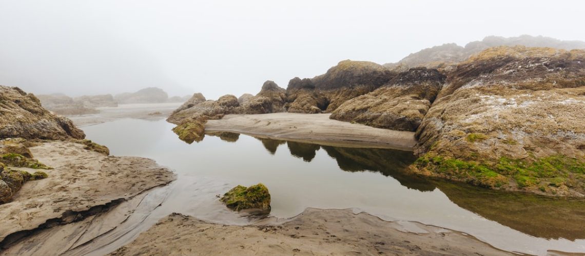 Mattel reveals new Barbie made from recycled ocean-bound plastic