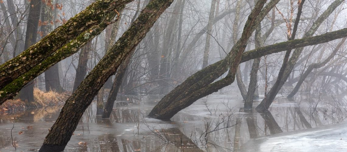 July 2021 may be the hottest month in recorded history
