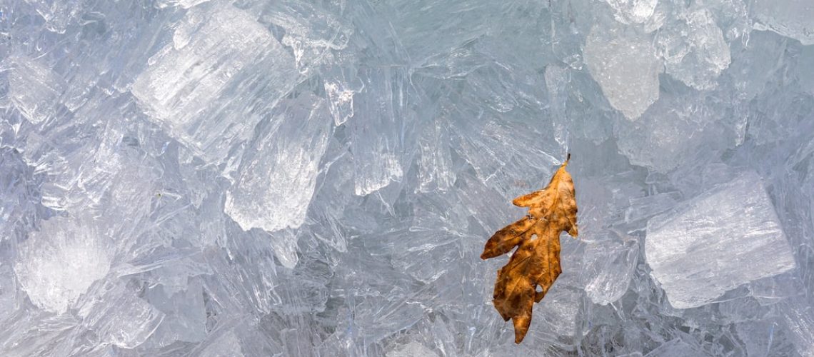 For the First Time in 52 Years, There’s No Skating Through the Capital