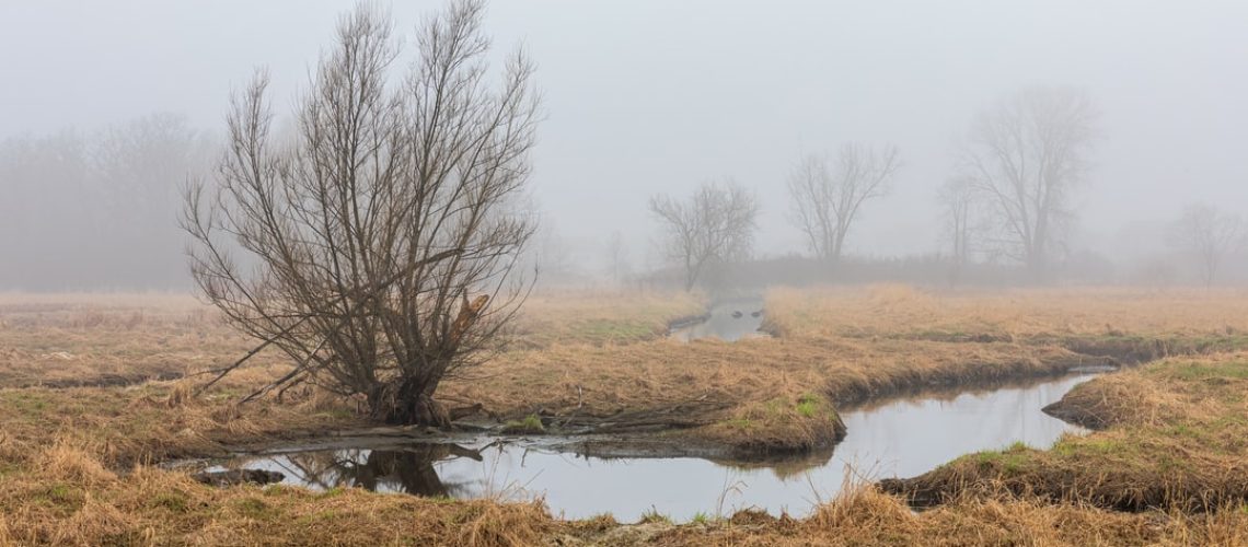 Smart flower LOTUS moves in response to light