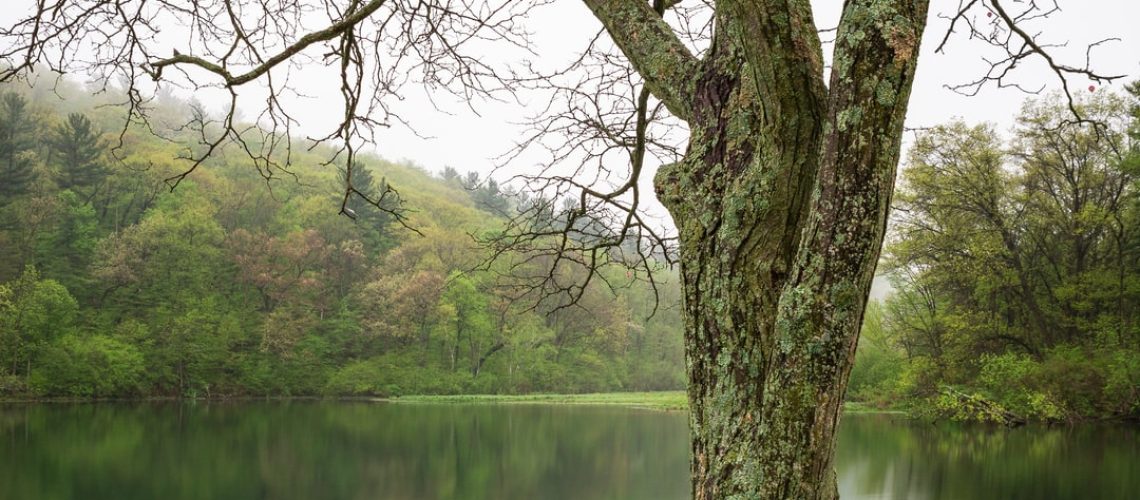 Managing your mental health in the face of climate anxiety