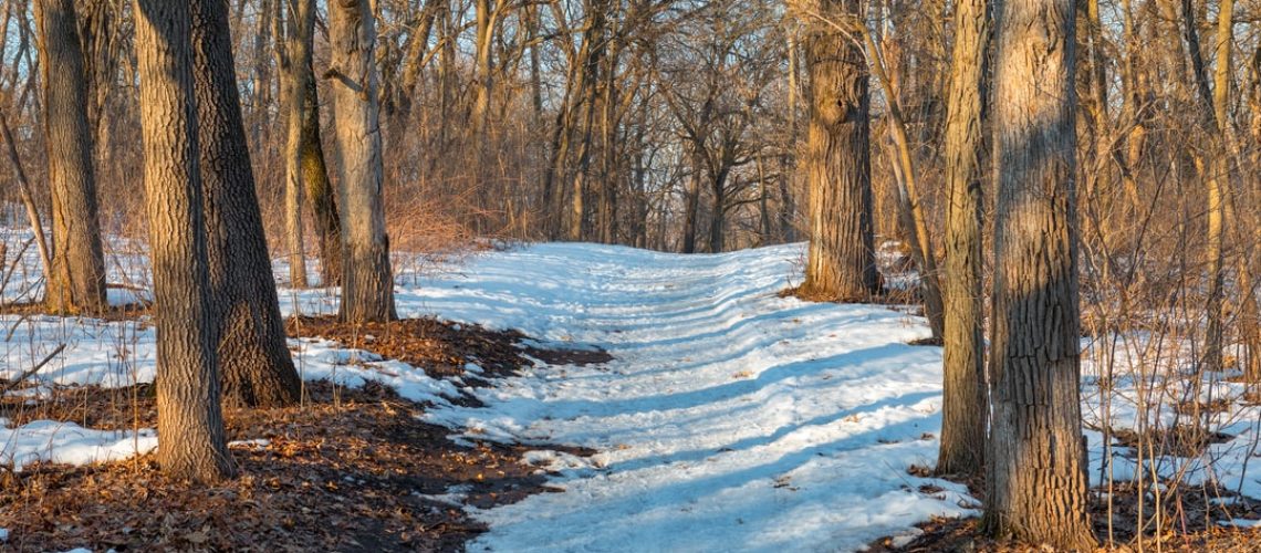 Environment could be under attack following change in abortion rights