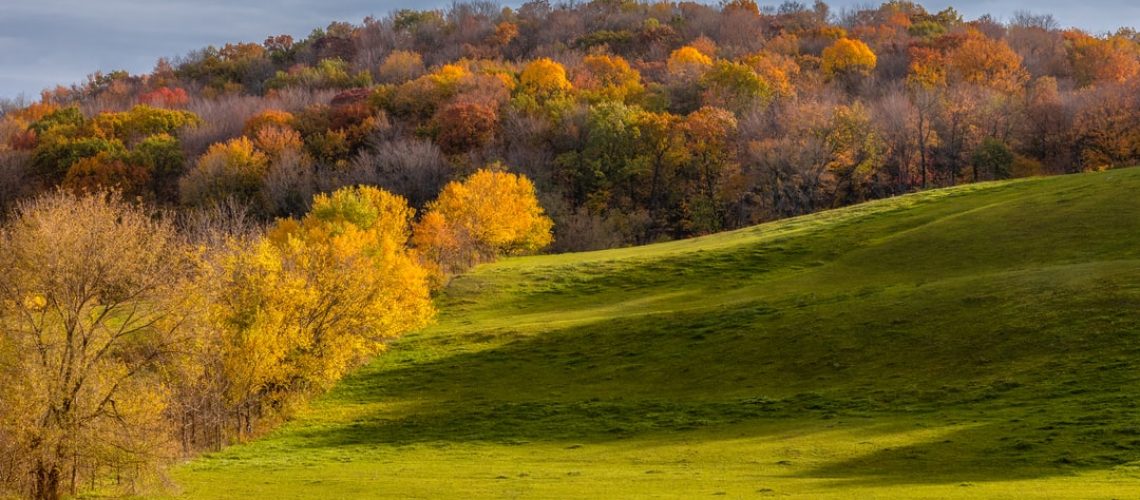 Casa Numa is built out of 50-year-old coconut palm wood