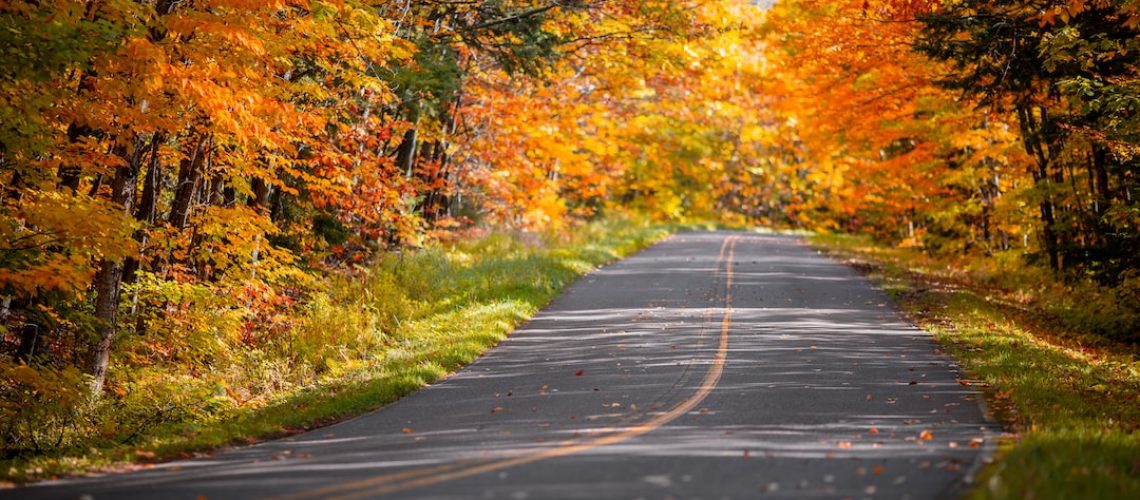See What California’s Record Snowpack Looks Like, Up Close