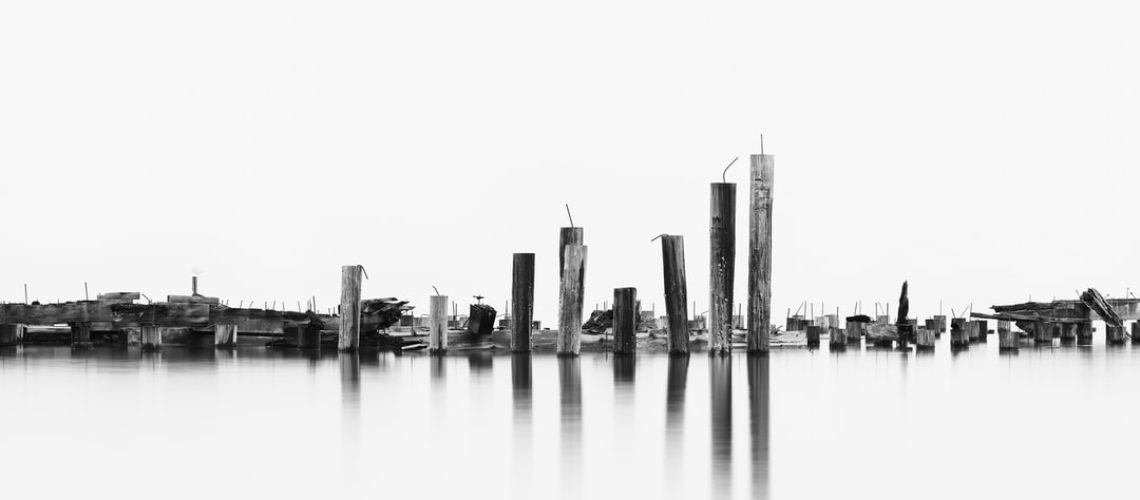 A unique no-till and regenerative farm is here in California