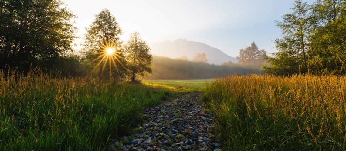 Two holiday cabins on stilts sit lightly by the ocean