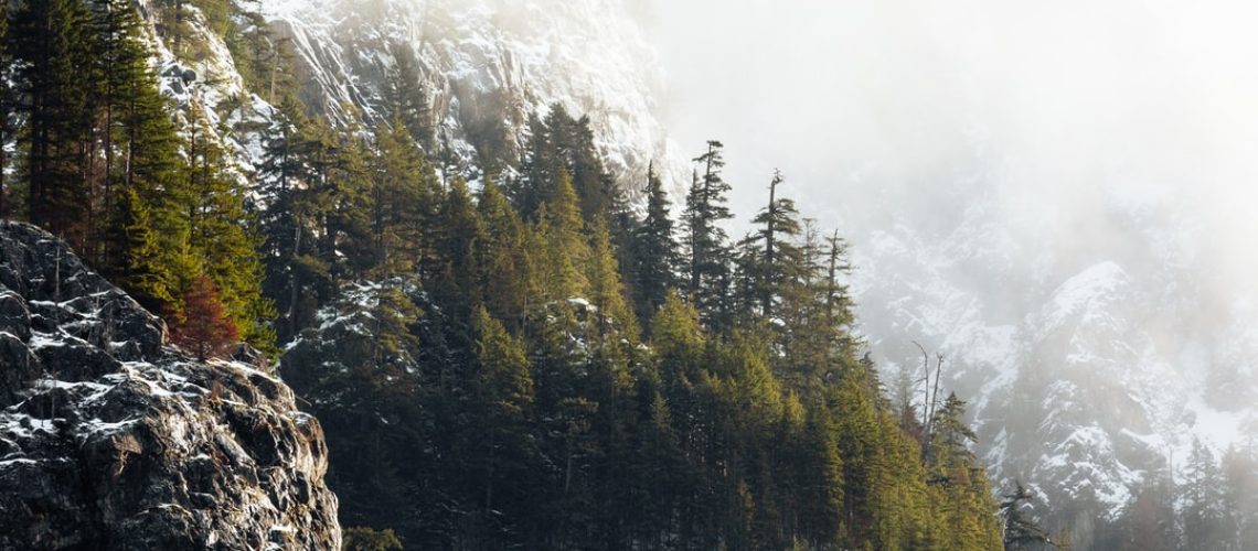 Local Lockdowns Brought Fast Global Ozone Reductions, NASA Finds